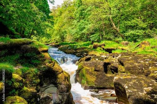 Waterfall in the forest. Yorkshire  Great Britain.