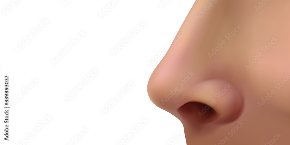 Female human nose on the face. Profile view. Vector illustration isolated on white background.
