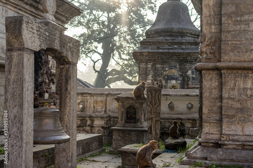 Pashupatinath Temple Kathmandu