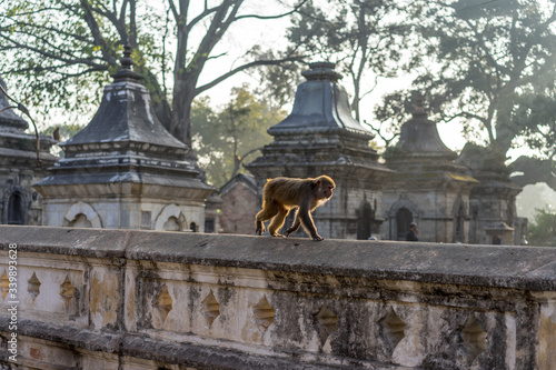 Pashupatinath Temple Kathmandu