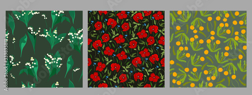 Fotografi Set of floral seamless patterns with dandelions, poppies and lilies of the valley