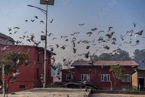 Pashupatinath Temple Kathmandu