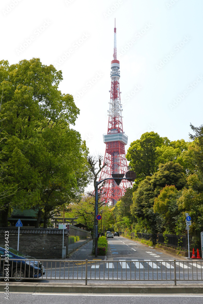 Obraz premium 東京タワーの見える景色