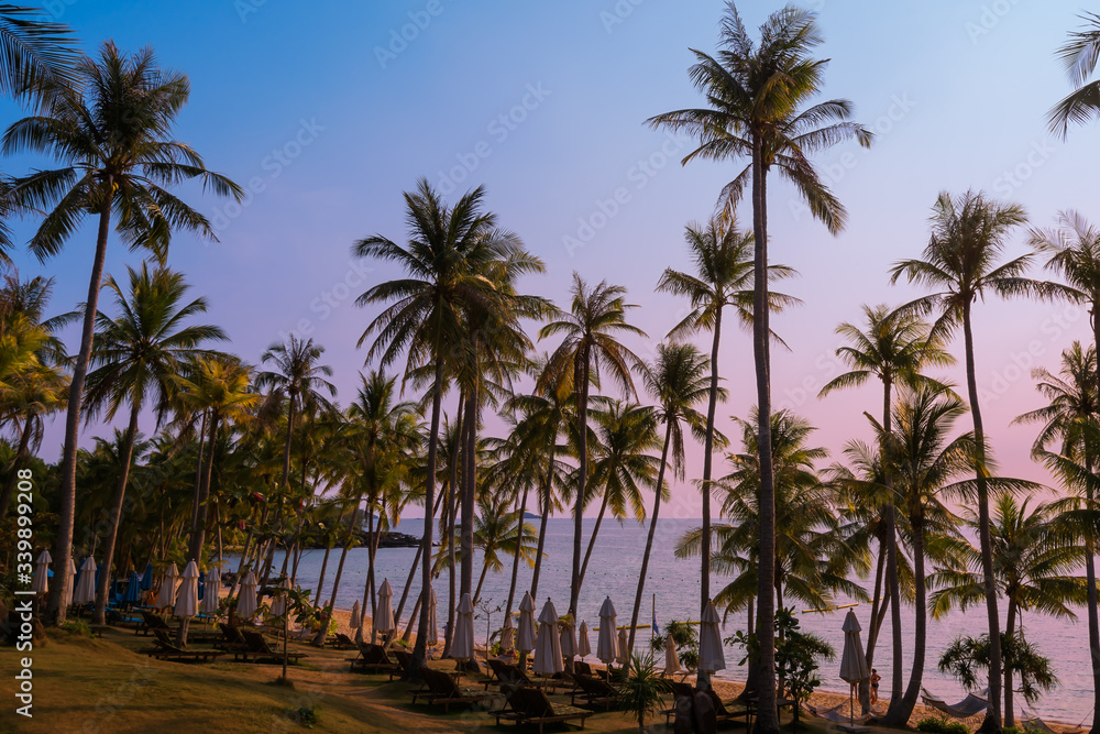 Beautiful beach with palms at sunset in Phu Quoc, Vietnam