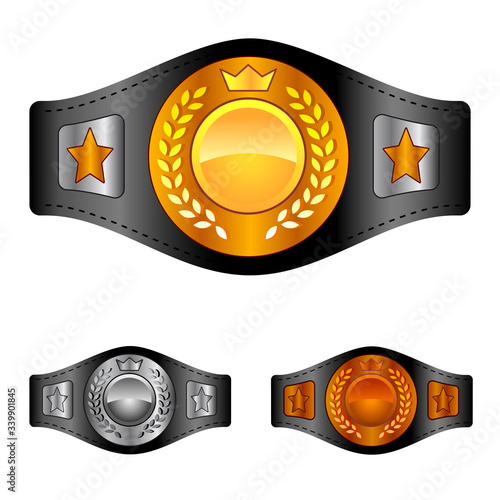 Champion belt box award sport icon flat web sign symbol logo label