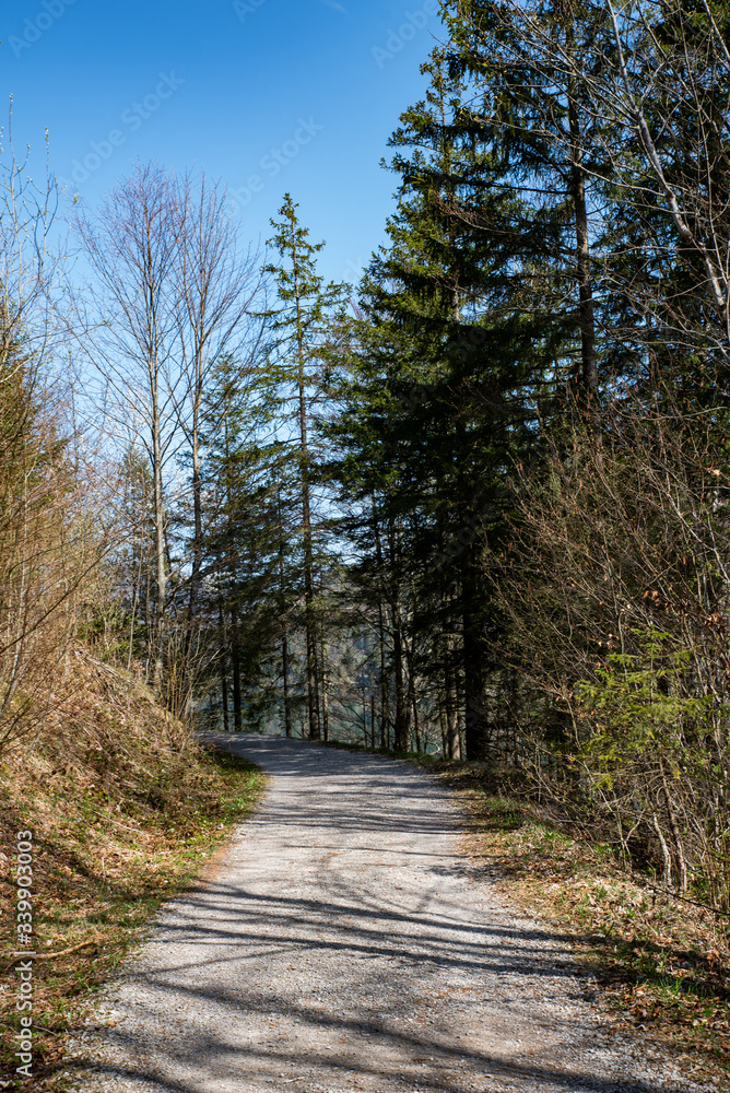 Fototapeta premium Hintersee in Austria 
