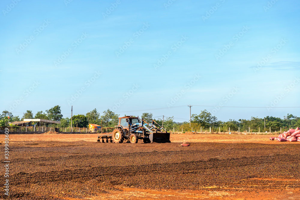 Obraz premium Preliminary processing and cleaning machines, Robusta and arabica coffee berries in factory, Gia Lai, Vietnam