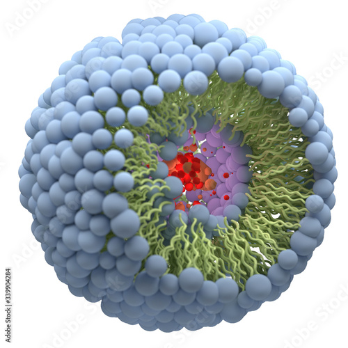 Structure of liposome, digital illustration