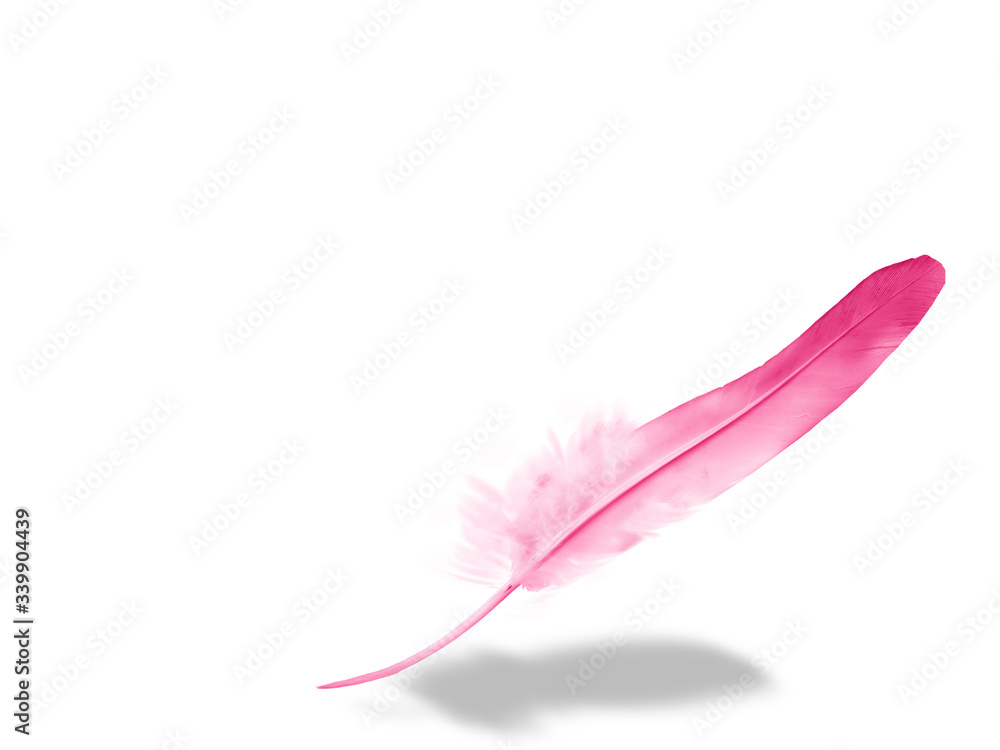 Beautiful color feather isolated on white background Beautiful color feather isolated on white background