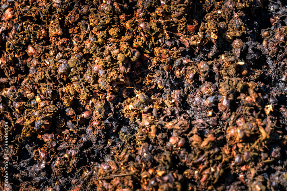 Waste products are discarded during preliminary processing Robusta and arabica coffee berries in factory, Gia Lai, Vietnam