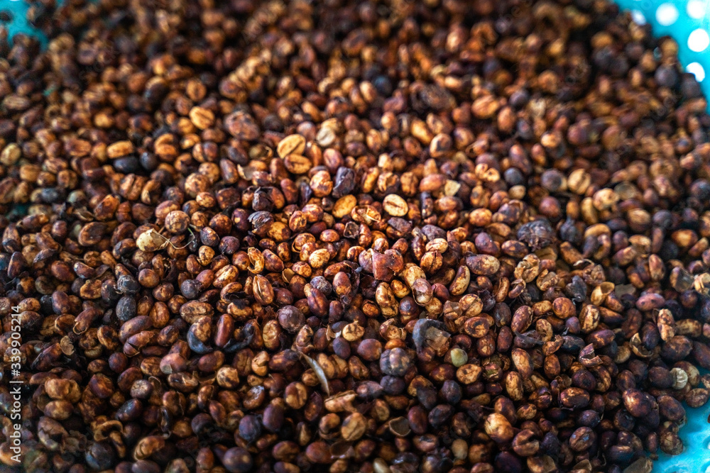Robusta and arabica coffee berries drying at ourdoor, Gia Lai, Vietnam Robusta and arabica coffee berries drying at ourdoor, Gia Lai, Vietnam