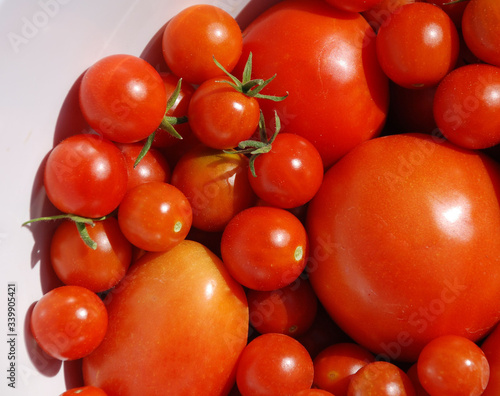 A bowl full of freshly picked tomatoes 