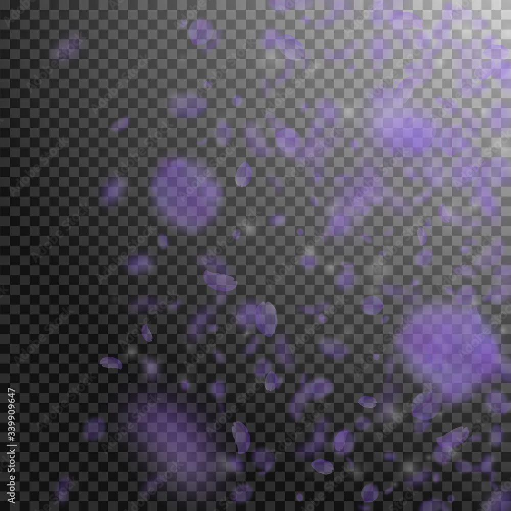 Violet flower petals falling down. Fantastic roman Violet flower petals falling down. Fantastic roman