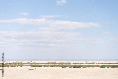 Dry sea endless sand beautiful clouds beautiful landscape estuary..