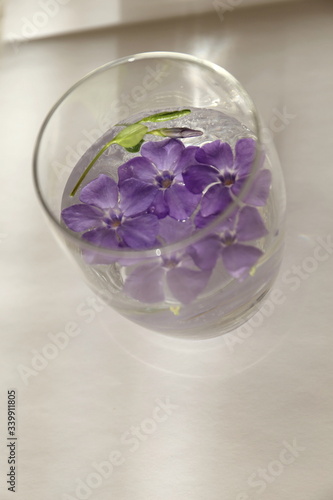 violet periwinkle flowers in a glass with water