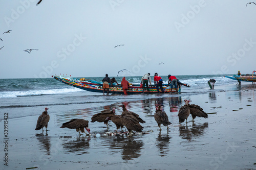 People carrying fish from the boats to the beach on Tanji, Gambia, West Africa.