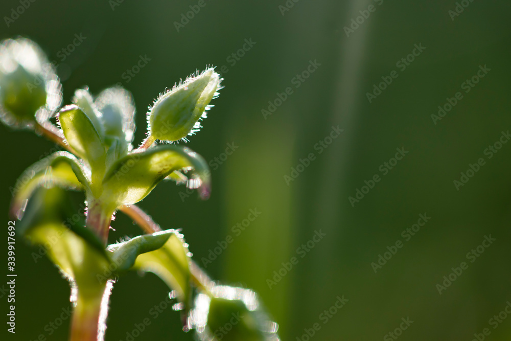 Amazing bright spring landscape for wallpaper. Amazing bright spring landscape for wallpaper.