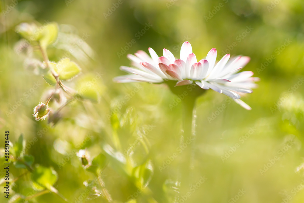 Amazing bright spring landscape for wallpaper. Amazing bright spring landscape for wallpaper.