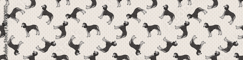 Hand drawn cute saluki dog breed seamless border pattern. Purebred pedigree domestic dog background. Dog lover borzoi pet washi ribbon. Kennel pooch EPS 10.  photo