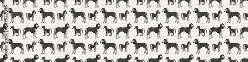 Hand drawn cute saluki dog and puppy breed seamless border pattern. Purebred pedigree domestic dog background. Dog lover borzoi pet washi ribbon. Kennel pooch EPS 10. 