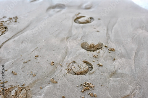 Valencia, Spain: 08.12.2019; The  horse traces on the sand beach
