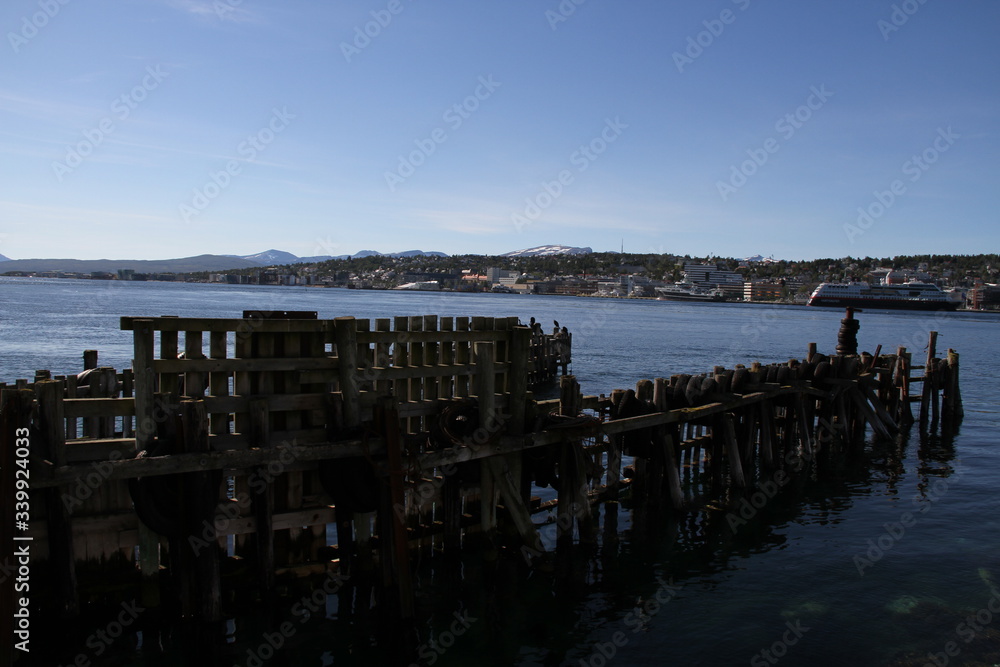 Fototapeta premium bird birds cormorants tromso tromsø water travel tourism sea coast nature port blue landscape sky harbor architecture europe boatship mountain summer bay view city beautifull and mark mediterranean v
