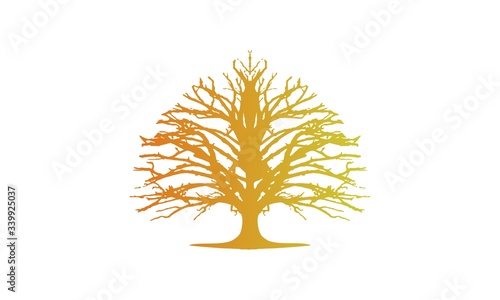 tree vector logo design © RIFQI