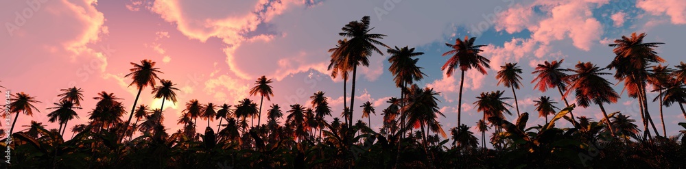 Palm trees on sunset background, silhouettes of palm trees at sunset, sky with palm trees