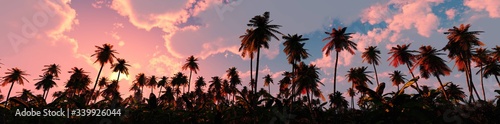 Palm trees on sunset background, silhouettes of palm trees at sunset, sky with palm trees