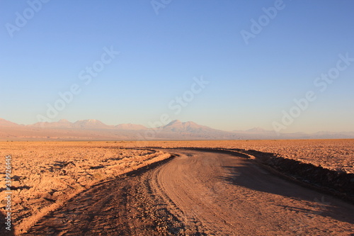 Deserto di Atacama  Regione di Antofagasta  San Pedro de Atacama