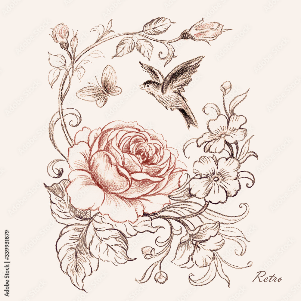 Graphic pencil drawing roses and bird with butterfly Graphic pencil drawing roses and bird with butterfly