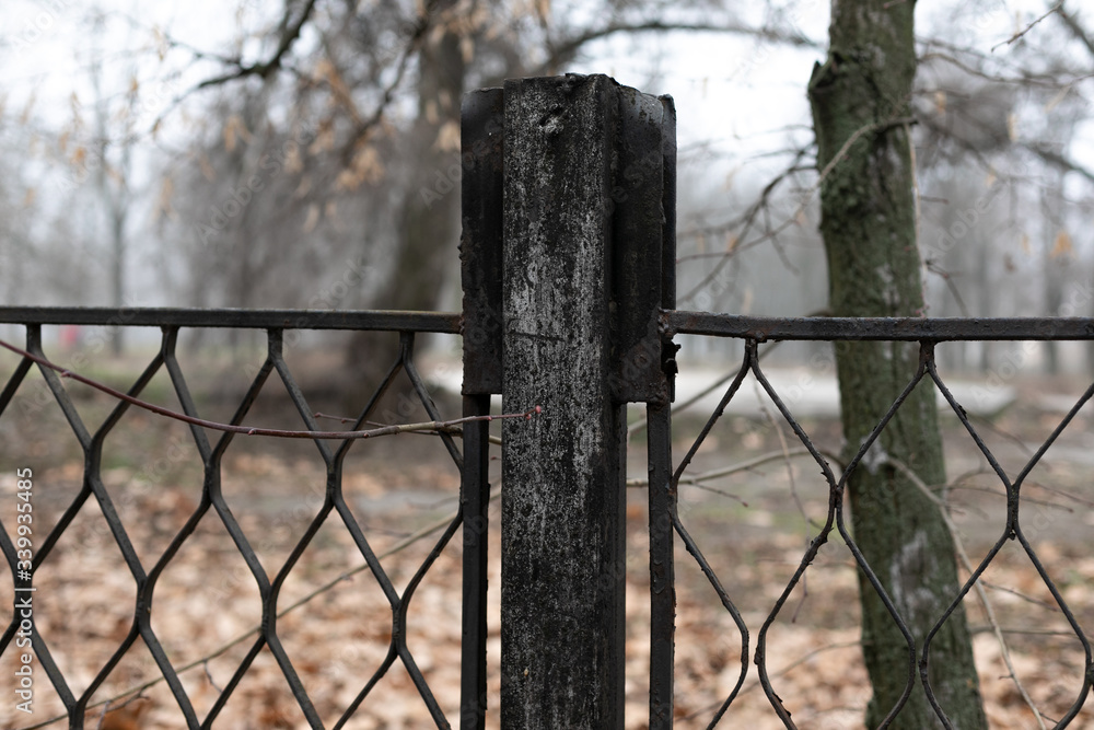 black metal fence in the autumn park on a cloudy day black metal fence in the autumn park on a cloudy day