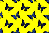 seamless pattern of blue butterflies drawn in watercolor on a yellow background