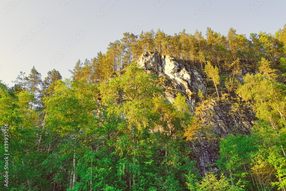 Fototapeta premium Scenery landscape with green forest and high rocky mountain under blue sky. summer