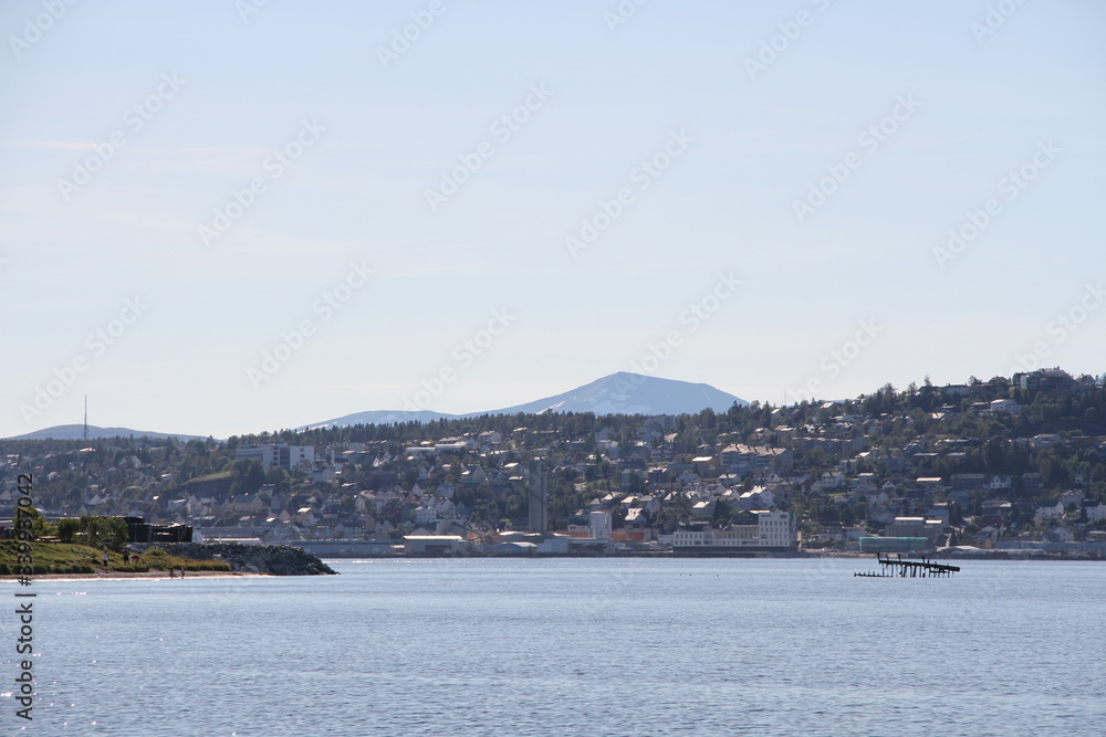 bird birds cormorants tromso tromsø  water travel tourism sea coast nature port blue landscape sky harbor architecture europe boatship mountain summer bay view city beautifull and mark mediterranean v