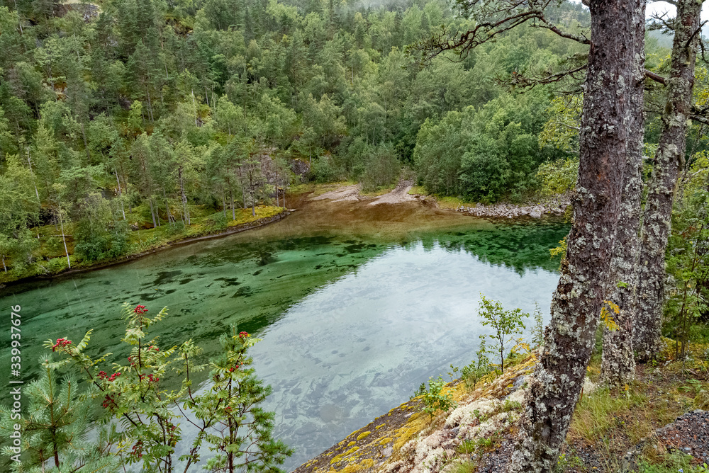 Fototapeta premium Mountain river flowing through the green forest
