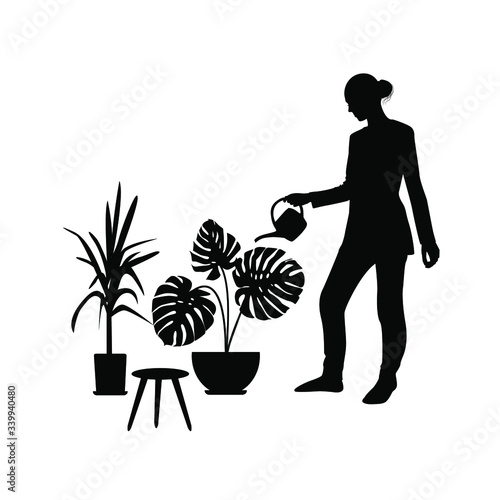 Silhouette of a girl who watering plants from a watering can at home.