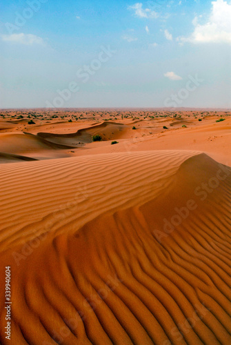Desert de Dubai