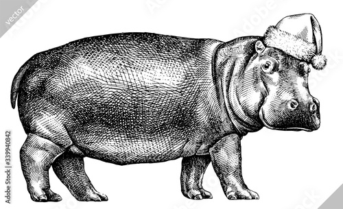 black and white engrave isolated hippo illustration