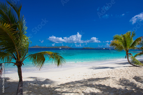 Fototapeta Naklejka Na Ścianę i Meble -  Solomon Beach in Virgin Islands National Park on the Caribbean Island of St John in the US Virgin Islands