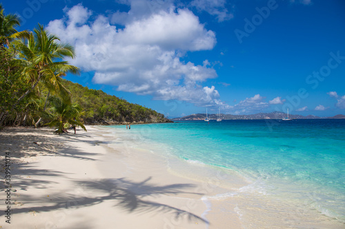 Fototapeta Naklejka Na Ścianę i Meble -  Solomon Beach in Virgin Islands National Park on the Caribbean Island of St John in the US Virgin Islands
