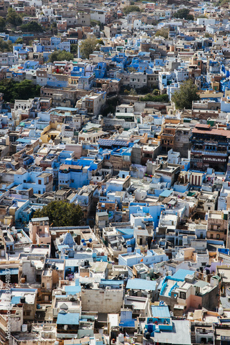 Jodhpur, the blue city in Rajasthan India © Dennis