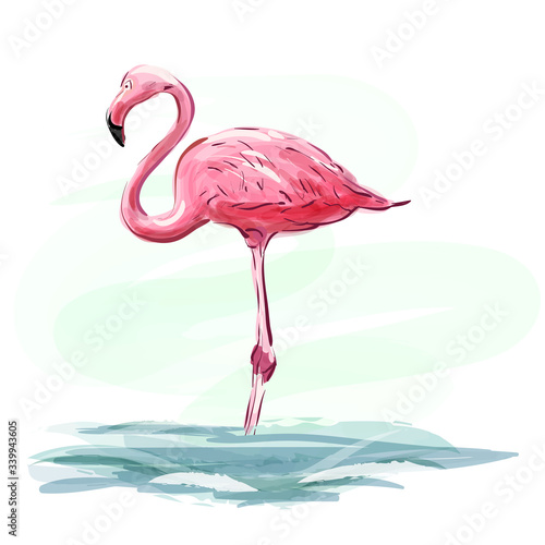Flamingo. Pink flamingo staying in water. Pink flamingo bird