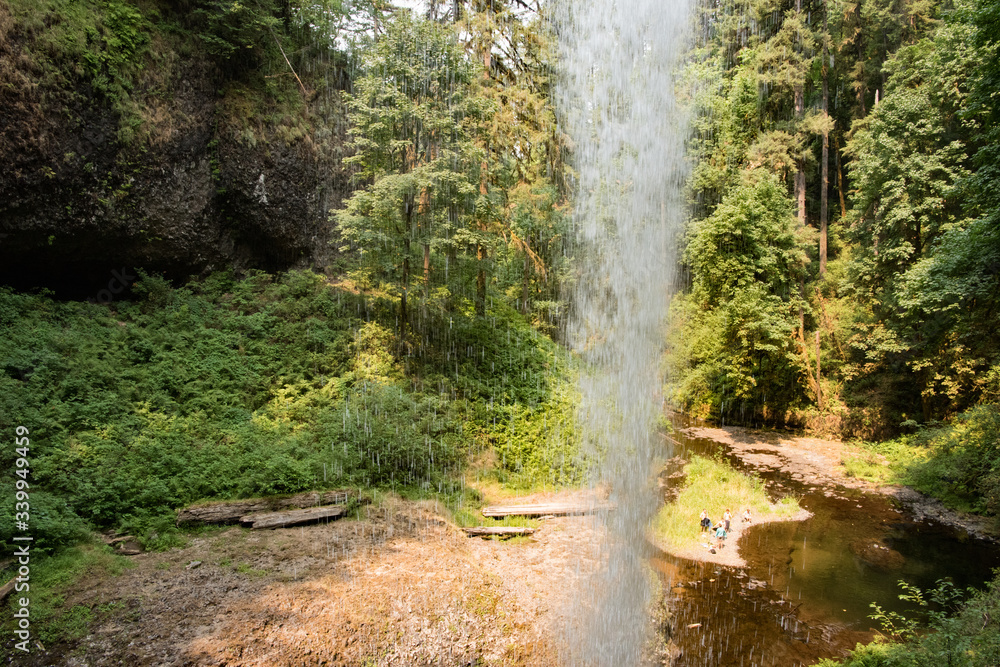 Fototapeta Waterfall in a forest, Oregon