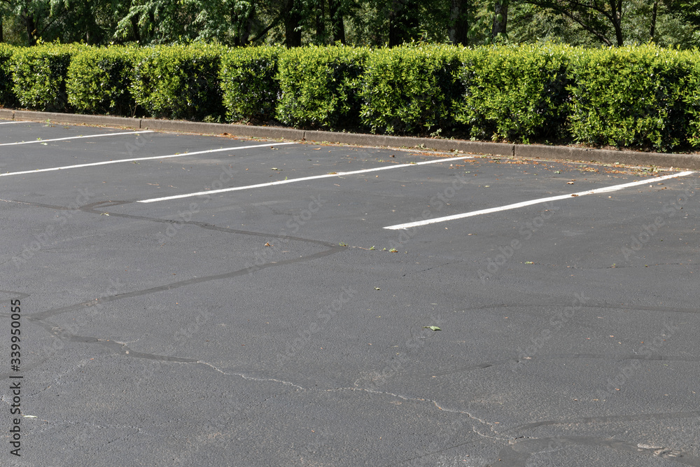 Obraz premium Empty lined asphalt parking lot bordered by bushes and trees, horizontal aspect
