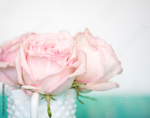 Pink roses in white textured vase