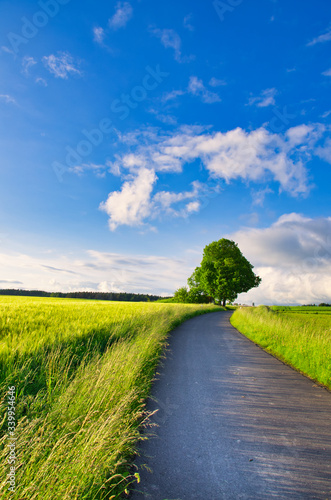 Landstraße mit Feldern im Frühling photo