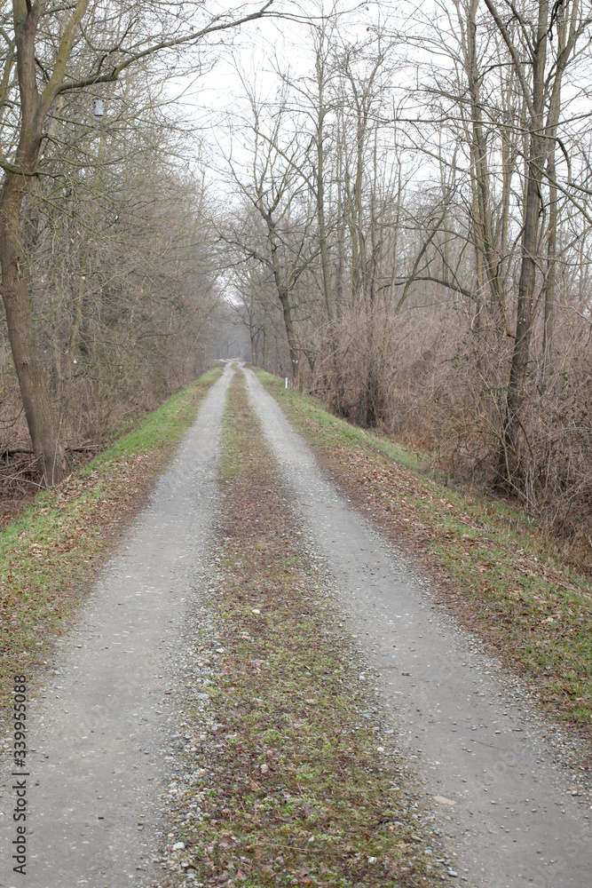 empty dirty road in country side