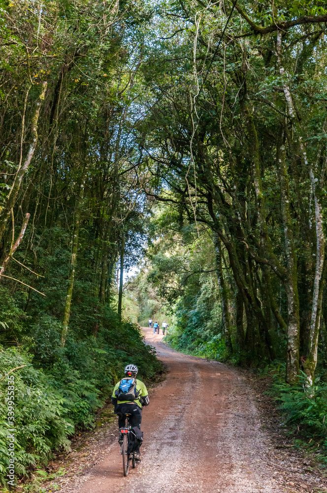Obraz premium Viagem de cicloturismo nos Caminhos de Pedra, regiao de Bento Goncalves, Rio Grande do Sul, Brasil, foto de Ze Paiva, Vista Imagens.