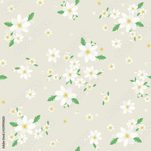 Fényképezés Seamless Valkovuokko floral pattern, Beautiful Wood anemone floral, bloomy plant